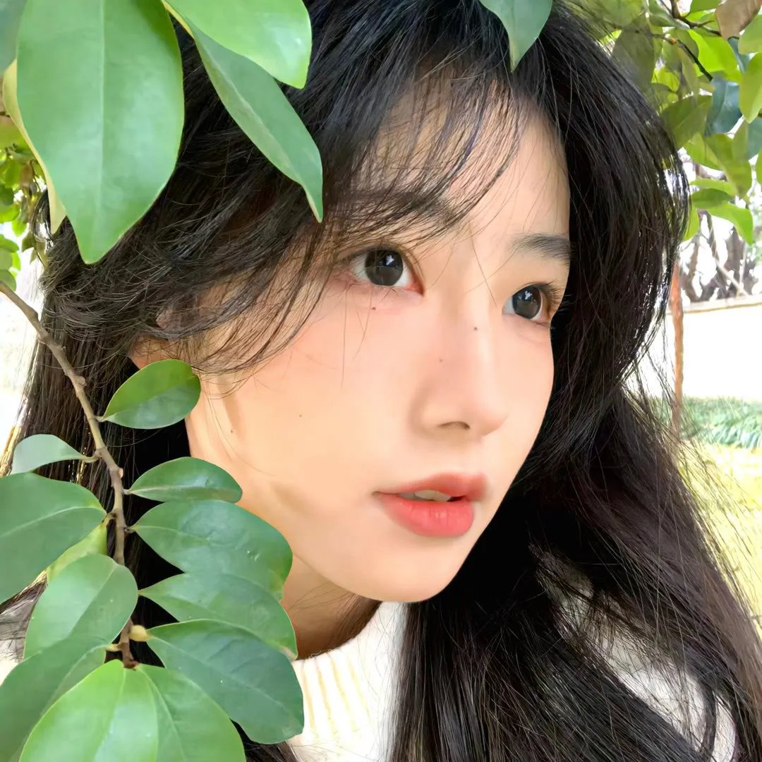 汪星人的秘密第一季